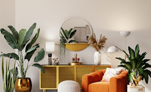 home 7